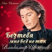 Скачать песню Владимир Цветаев - Без тебя мне все не так (New Version)