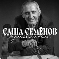 Скачать песню Саша Семёнов - Вовчик