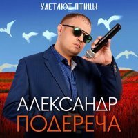 Скачать песню Александр Подереча - Улетают птицы