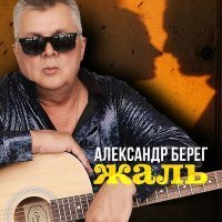 Скачать песню Александр Берег - Жаль