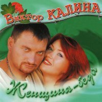 Скачать песню Виктор Калина - Северный ветер