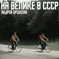 Скачать песню Андрей Оршуляк - На велике в СССР