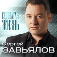 Скачать песню Сергей Завьялов - Не гони ты меня