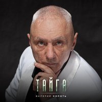 Скачать песню Валерий Копоть - Этап