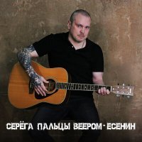 Скачать песню Серёга Пальцы Веером - Ты меня не любишь не жалеешь