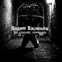 Скачать песню Вадим Васильев - Не стреляй, командир