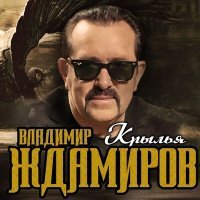 Скачать песню Владимир Ждамиров - Крылья