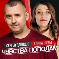 Скачать песню Сергей Одинцов - Чувства пополам