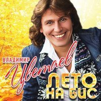 Скачать песню Владимир Цветаев - Бывший муж