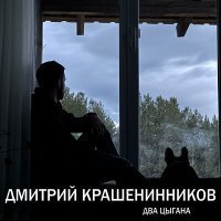 Скачать песню Дмитрий Крашенинников - Не теряй ориентир в пути